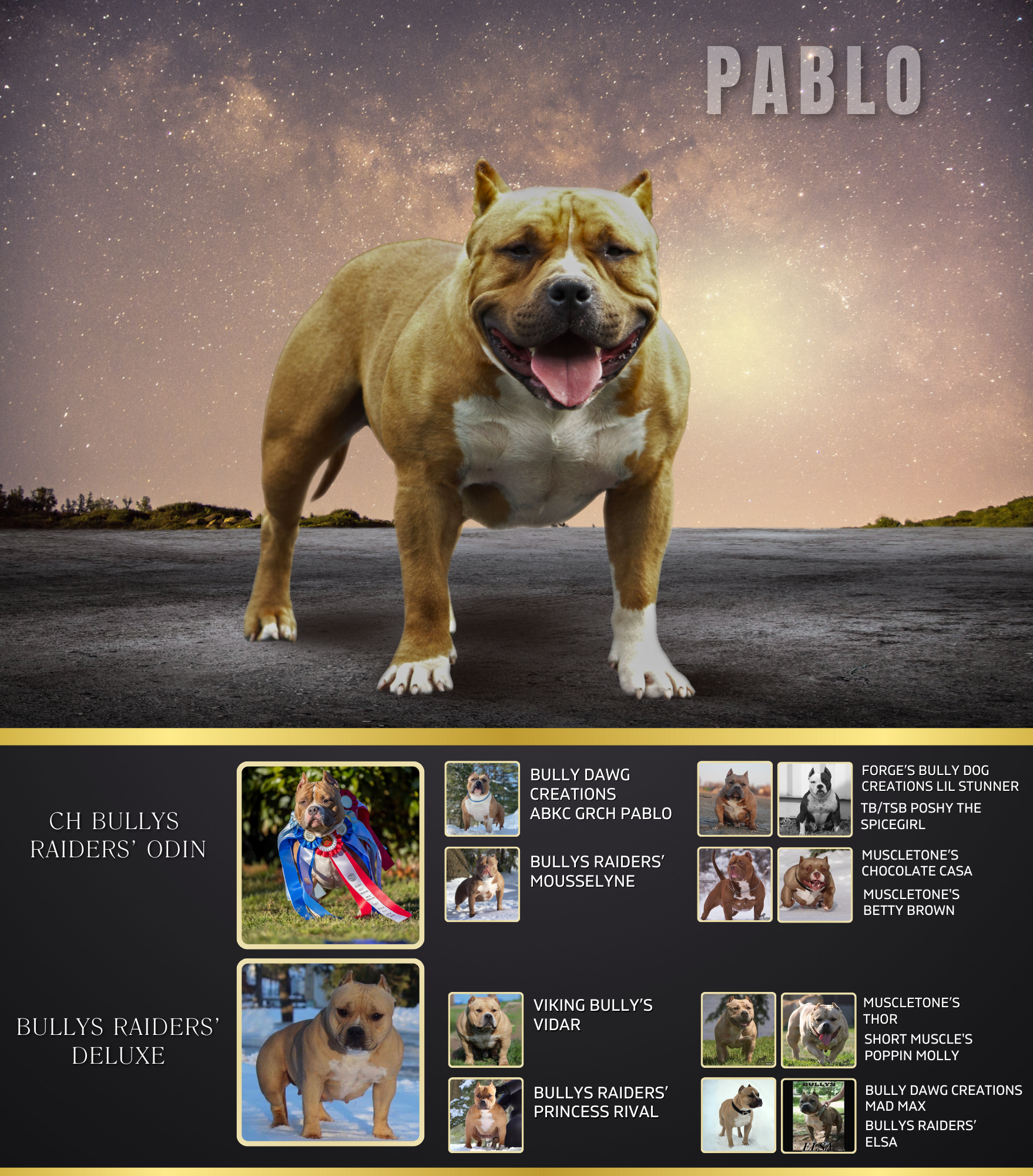 Bullys Raiders' Lil Pablo pedigree